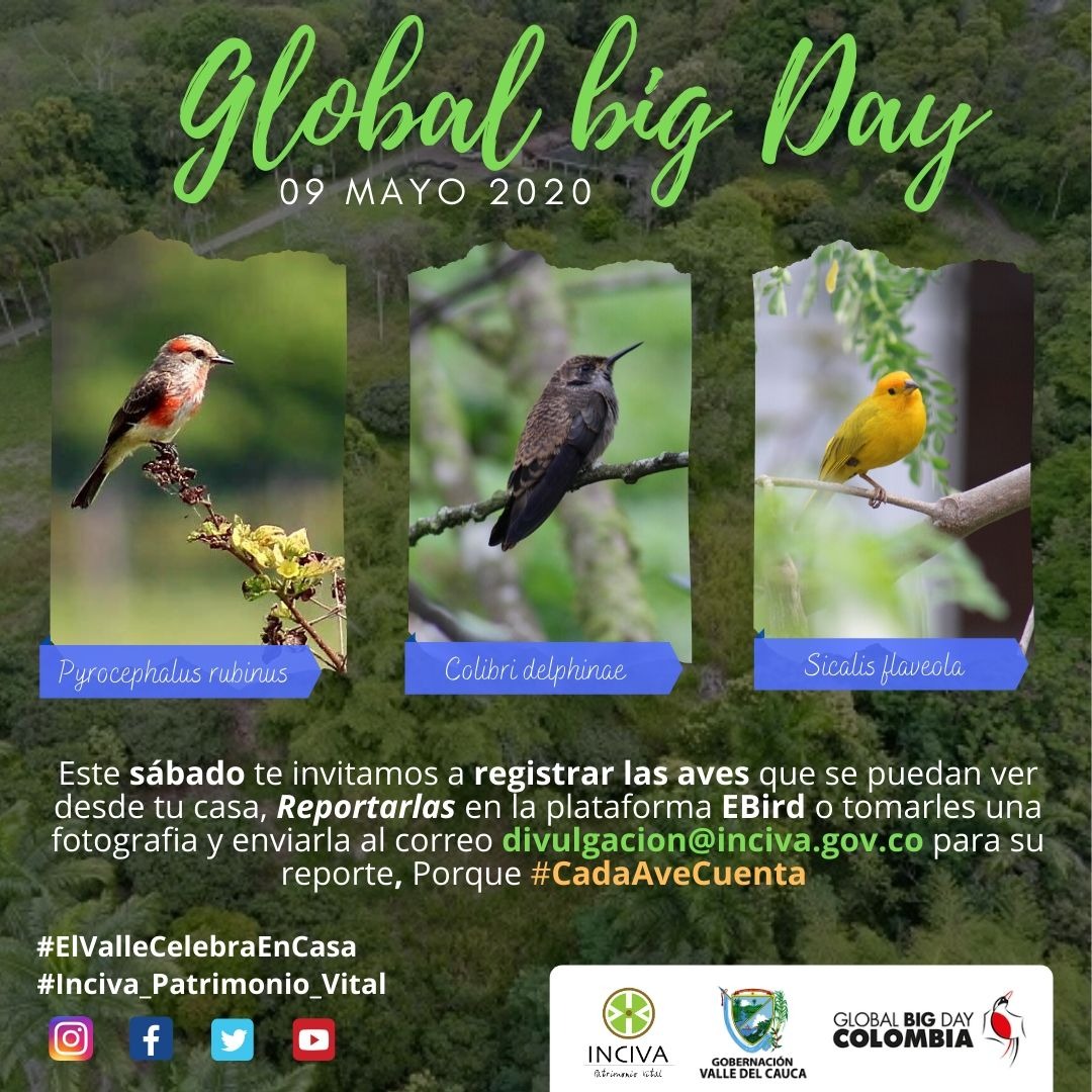 noticias-destacadas/el-sabado-9-de-mayo-global-big-day-en-cuarentena